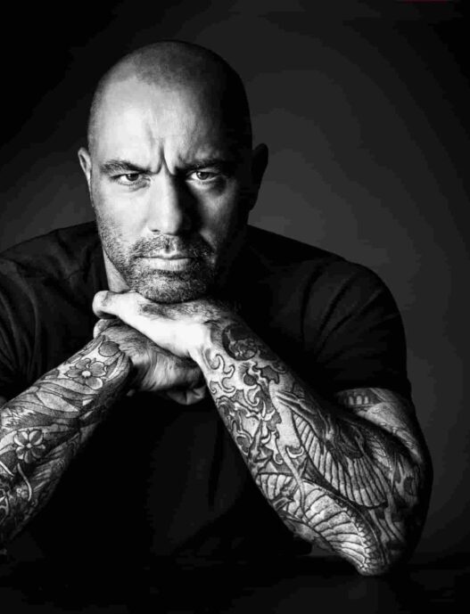 Joe rogan net worth