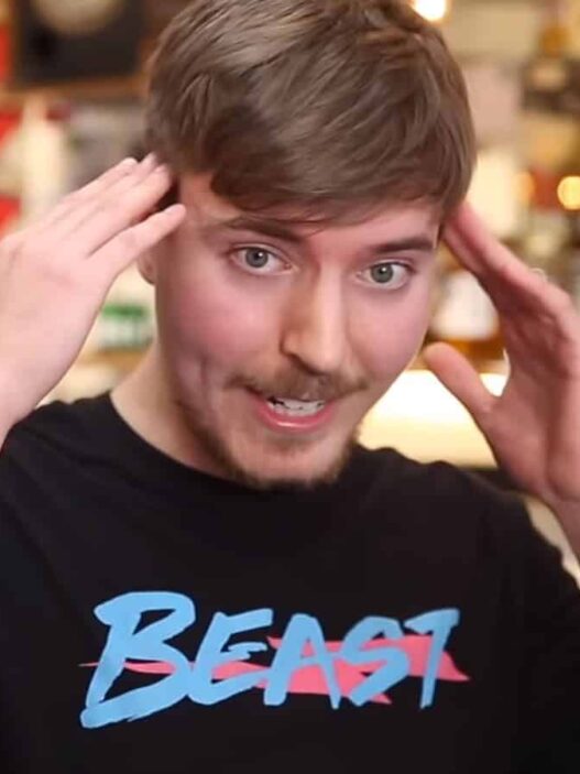 What is mrbeast net worth